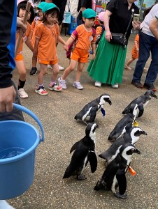 親子遠足に行きました♪（４歳児れんげ組）