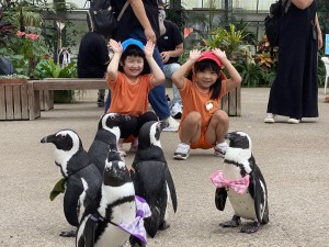 親子遠足に行きました（５歳児さくら組）