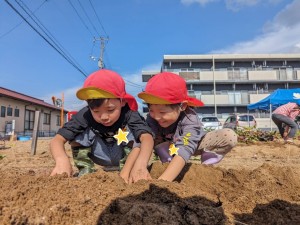 おいもほりがありました