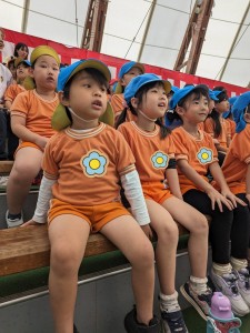 大相撲出雲場所の見学に行きました