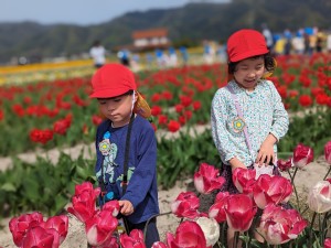 園外保育に出掛けました（５歳児さくら組）