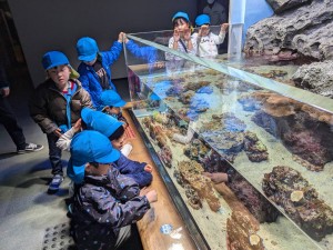 アクアスにお出かけしました（５歳児さくら組）
