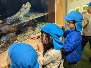 アクアスにお出かけしました（５歳児さくら組）