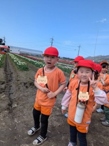 梨の花粉付け体験に行きました（５歳児さくら組）