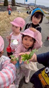 よもぎつみ・おやきづくりをしました（４歳児れんげ組、５歳児さくら組）