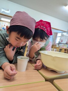 よもぎつみ・おやきづくりをしました（４歳児れんげ組、５歳児さくら組）