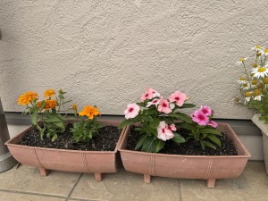 お花いっぱいにしよう！