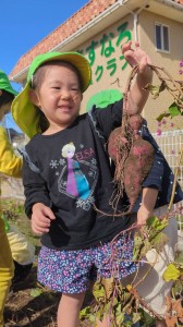 さつまいも掘りをしました