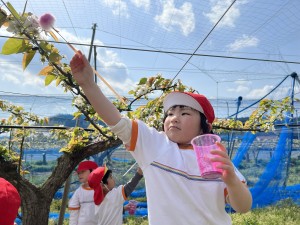 梨の花粉づけに行きました♪