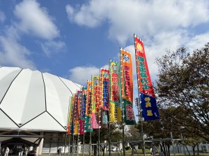 大相撲出雲場所を見に行きました♪