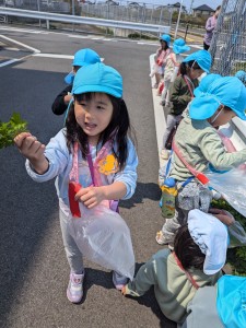 よもぎ摘みに出かけました☆