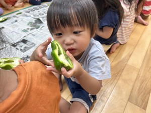 ピーマンの種取りしました♪（2歳児たんぽぽぐみ）