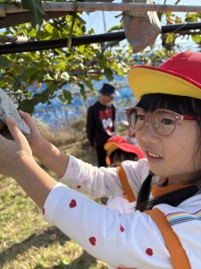 梨狩りに行きました🍐（5歳児さくらぐみ）