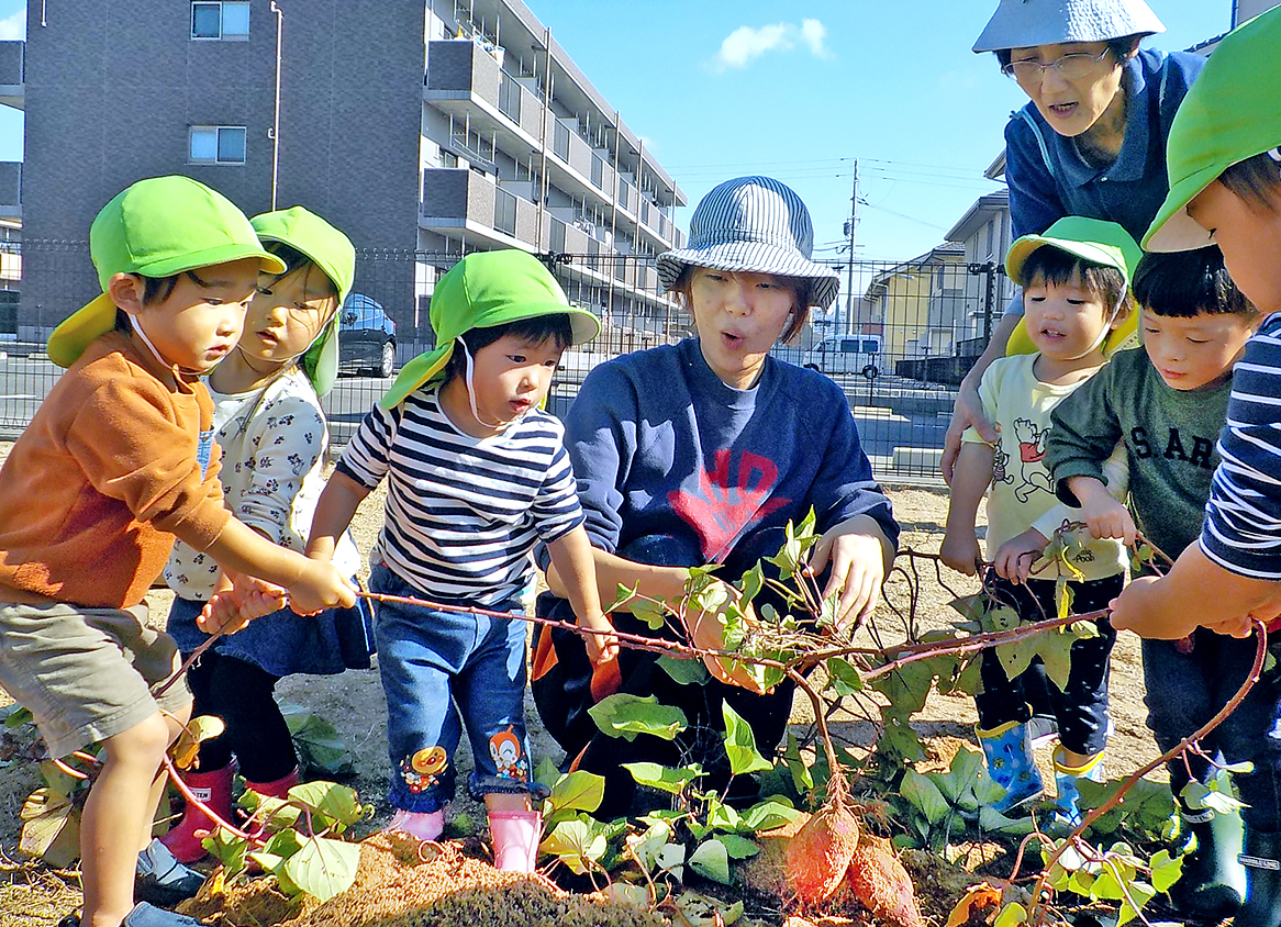 いも掘り