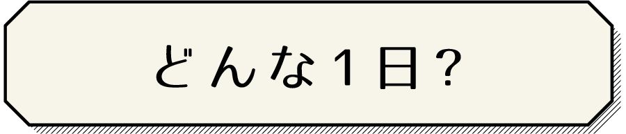 どんな１日？